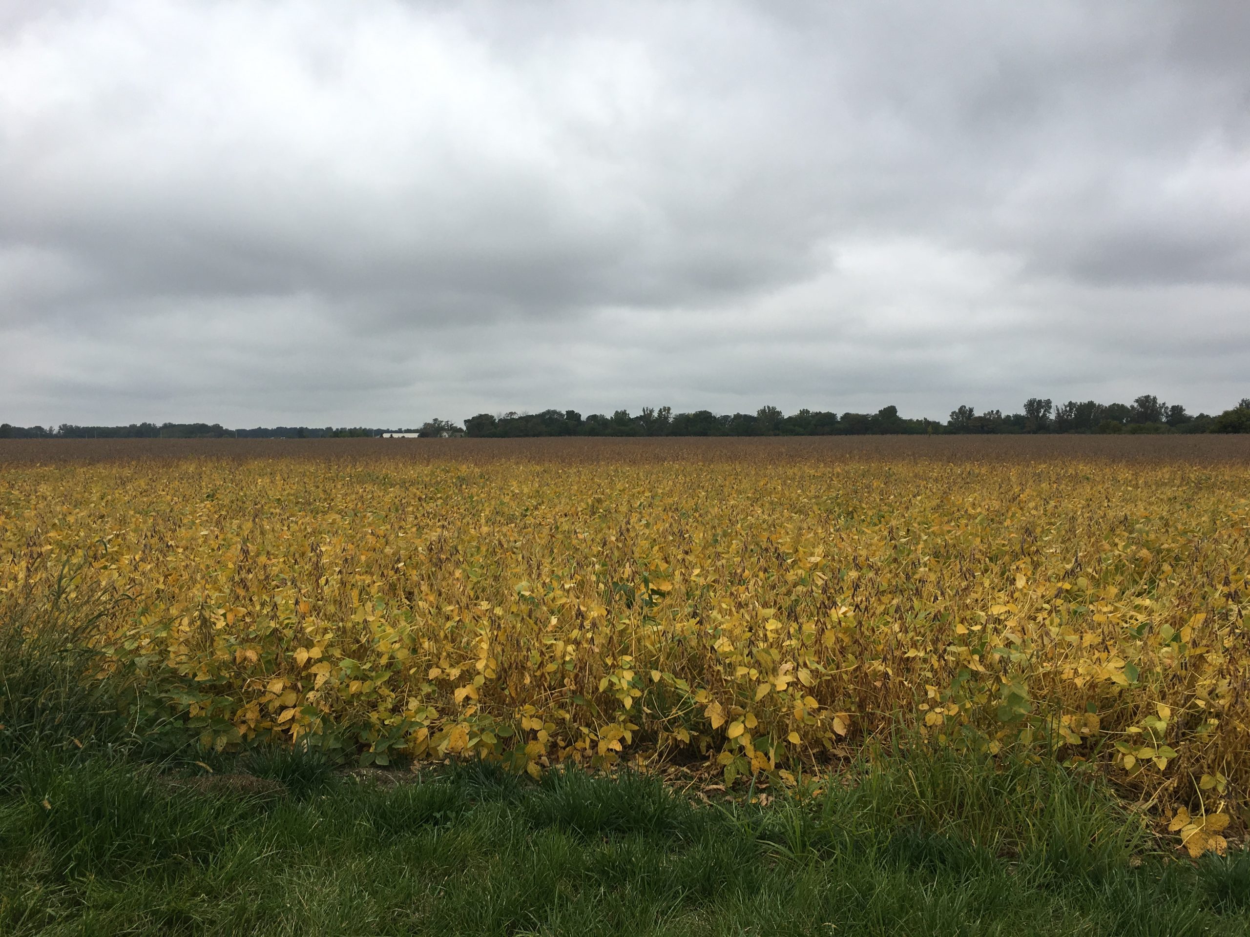 Regenerative Agriculture